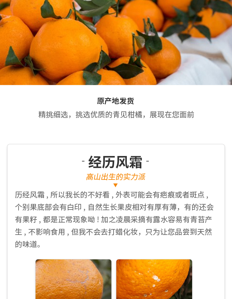 【天瑞优品】四川青见柑橘 5斤装